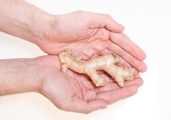 Male hand holding ginger root, natural herbal medicine  - Powered by Adobe