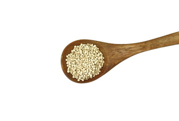 Organic Quinoa (Chenopodium quinoa) seeds in a wooden spoon isolated on white background. Macro close up. Top view. quinoa seeds isolated on white background. 