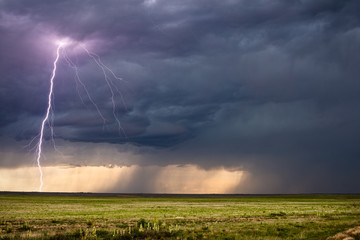 Obraz na płótnie Canvas Thunderstorm lightning bolt strike and dark clouds over a field