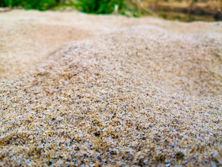 Background of fine river sand. Sand texture.