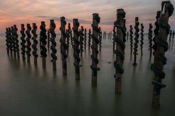 Les bouchots utilisés par les mytilliculteurs à Quend-Plage pour l'élevage des moules.