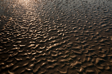 Ondulations du sable à marée basse en Baie de Somme