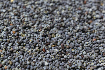 Black poppy seeds background