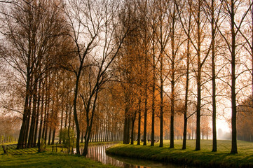 Vallée de l'Authie dans les Hauts-de-France