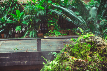 interesting steam moss rock