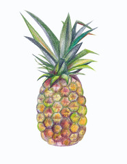 Pineapple drawn by hand with colored pencils. Isolated object on a white background. The design of the template.
