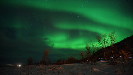 northern lights zorza polarna aurora borealis - obrazy, fototapety, plakaty