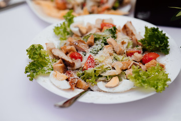 Wedding. Banquet. The table for guests. Appetizers and salads on the banquet table. Cold appetizers and salads on the wedding table.