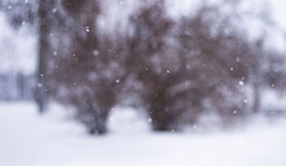 snoeflakes blizzard in Russia
