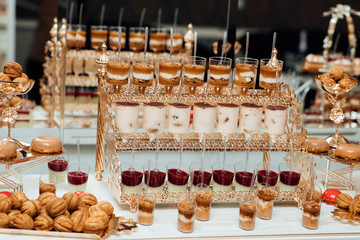 Wedding decoration with pastel colored cupcakes. Elegant and luxurious event arrangement. Luxury life. Delicious and tasty dessert table with cupcakes shots at reception closeup