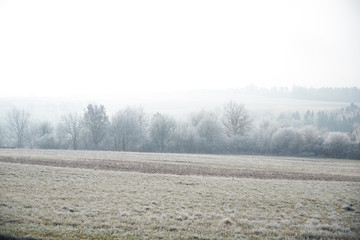 Obraz na płótnie Canvas Winterliches Feld und Bäume