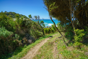Fototapeta na wymiar hiking the great ocean walk to milanesia beach, coast of victoria, australia