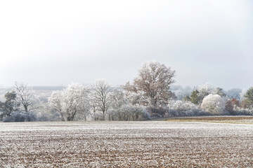 Nebelige Winterlandschaft
