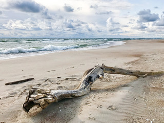 Pristine nature and Curonian spit landscape. Lithuania tourism industry. Panoramic view with no people. in a sunny day. 2020. Summer time.
