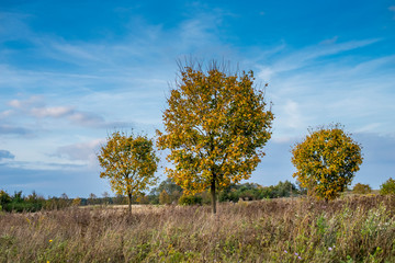 Herbstlandschaft