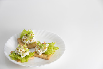 toast for Breakfast of tender, juicy sprouted beet sprouts with soft cheese, lettuce and wheat sprouts on a white porcelain plate on a white background. Back space