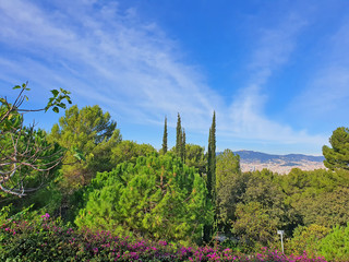 Beautiful gardens and Barcelona panorama