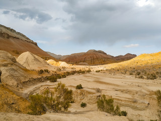 Walk enjoying the natural beauty of the Altyn-Emel National Park