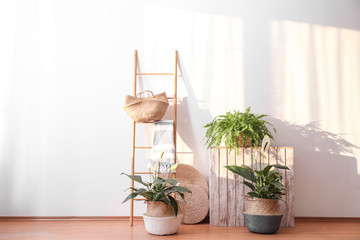 Beautiful plants in wicker pots near white wall indoors. Interior design idea