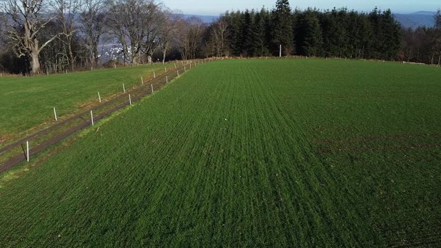 Elektrozaun an Wiese gegen Wildschweine