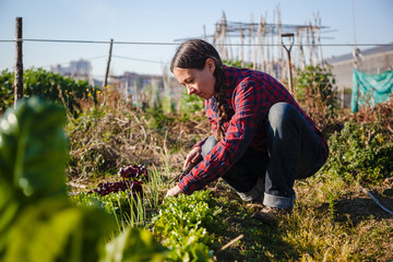 Young woman gardening in urban garden