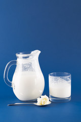 Homemade fermented beverage kefir with kefir graiuns on a trendy blue background, concept of natural fermented food and intestinal health