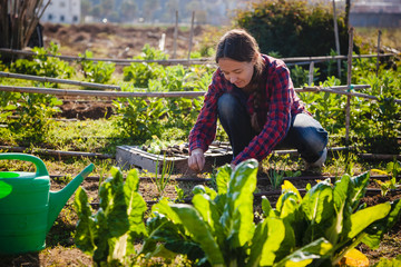 Young woman gardening in urban garden © sururu