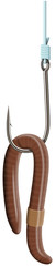 Earthworm on a fishing hook