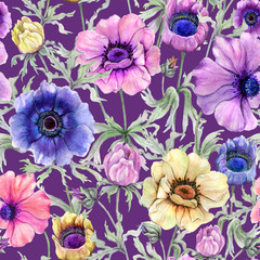 Beautiful colorful anemone flower with green leaves on lilac background.  Seamless floral pattern. Watercolor painting. Hand drawn and painted illustration