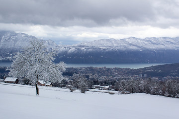 Mountain winter range ski europe alp mountain beautiful landscape with white snow tree 