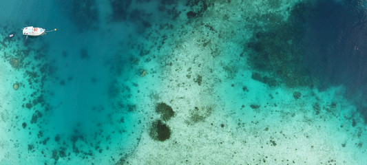 Overhead aerial view of colourful coral reef