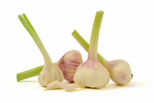 Frischer Knoblauch 