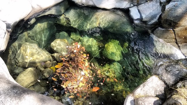 natural drought well