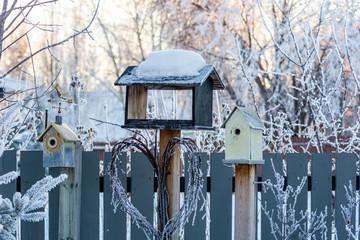 Birdhouse and bird feeders in backyard in winter