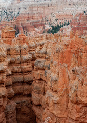 Hoodoo rock formations at Bryce Canyon National Park, Utah