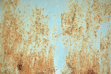 Rusted blue painted metal wall. Detailed photo texture