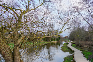 new curved wooden footpath for walk in nature park