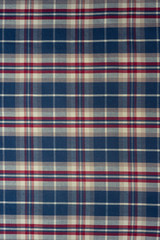  blue, red, white checkered fabric vertical orientation
