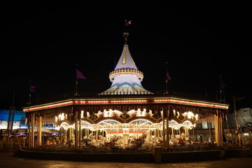 Magic Kingdon