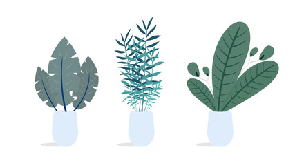 Set of indoor plants. Vector illustration