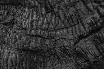 Wood charcoal texture. Burnt tree. Black coal background