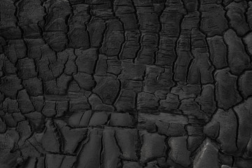 Wood charcoal texture. Burnt tree. Black coal background