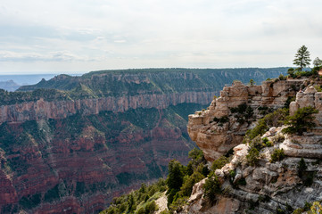 Grand Canyon North Rim, Grand Canyon National Park, Arizona, USA