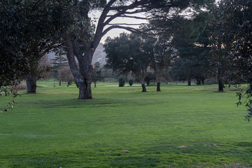Obraz premium Imagenes de un golf al atardecer, arboles y cesped rasurado.