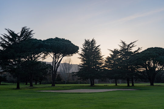 Imagenes de un golf al atardecer, arboles y cesped rasurado.