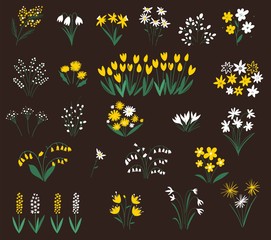 Set of summer flowers silhouettes. Spring wildflowers. Flower icon collection - vector illustration.