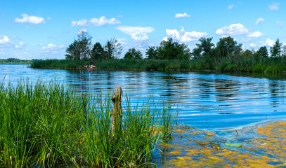 small lake in summer in the outskirts of Berlin