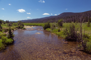 Fototapeta na wymiar Colorado River flowing through Rocky Mountain National Park, forested mountains in distance
