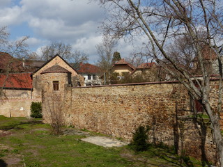 Fototapeta premium Alte Stadtmauer in Deidesheim / Pfalz