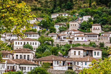 Fototapeta na wymiar Berat, Albania - July 31, 2014. Detail of houses with brown roofs in Berati